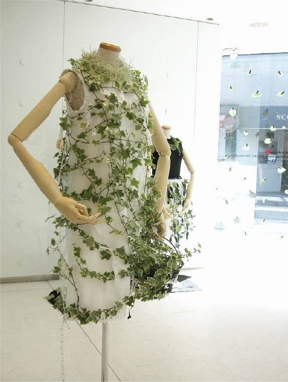 agnes.b 青山 display